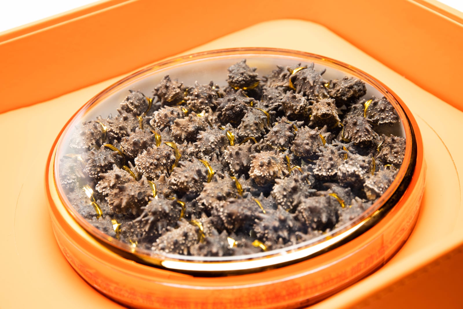 50-60頭正日本關西參禮盒