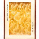 本港白花膠木禮盒300g